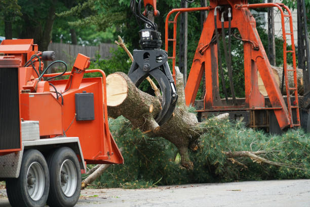 Lawn Renovation and Restoration in Meadville, PA